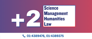 Herald International College